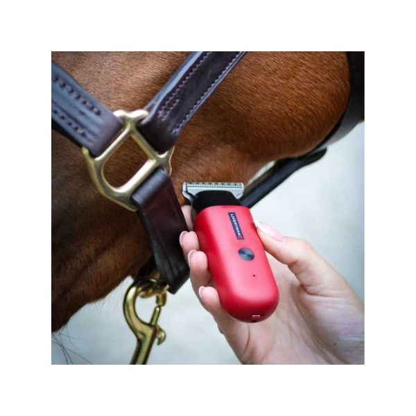 Maquina retoques ROBIN