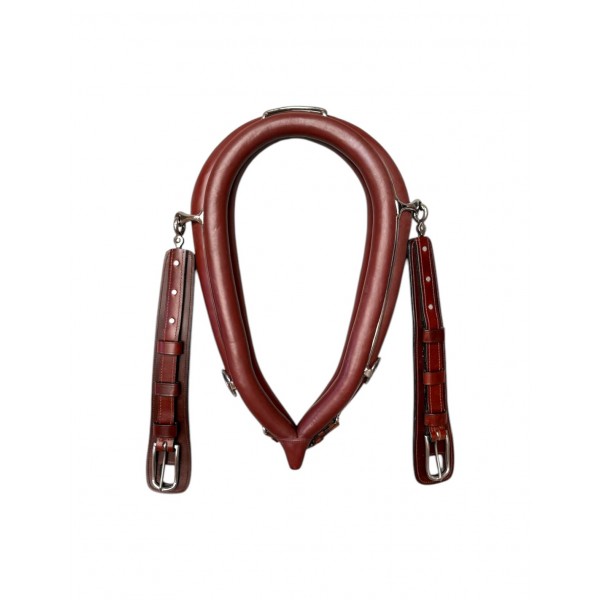 Collarón Sencillo Super Diplomático Inglés